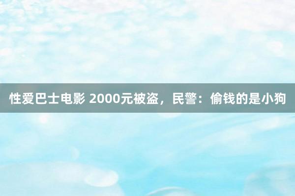 性爱巴士电影 2000元被盗，民警：偷钱的是小狗