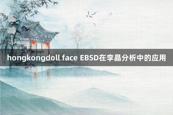 hongkongdoll face EBSD在孪晶分析中的应用