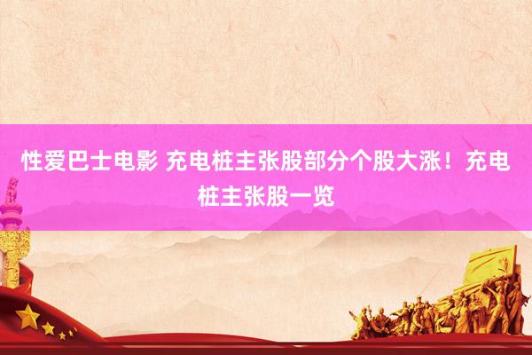 性爱巴士电影 充电桩主张股部分个股大涨！充电桩主张股一览