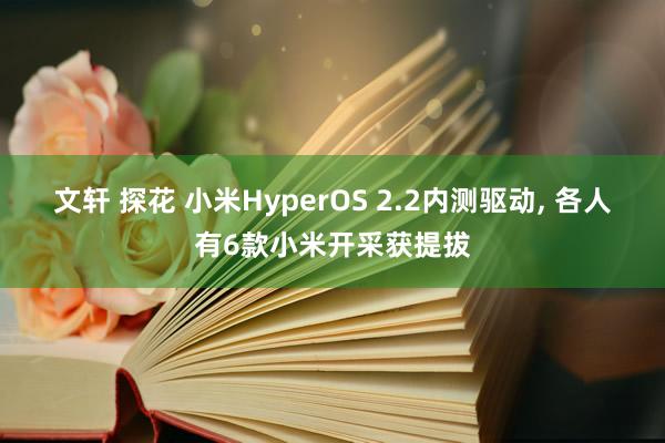 文轩 探花 小米HyperOS 2.2内测驱动， 各人有6款小米开采获提拔