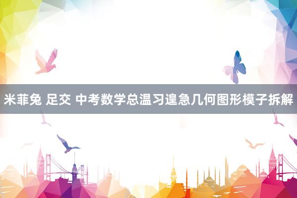 米菲兔 足交 中考数学总温习遑急几何图形模子拆解
