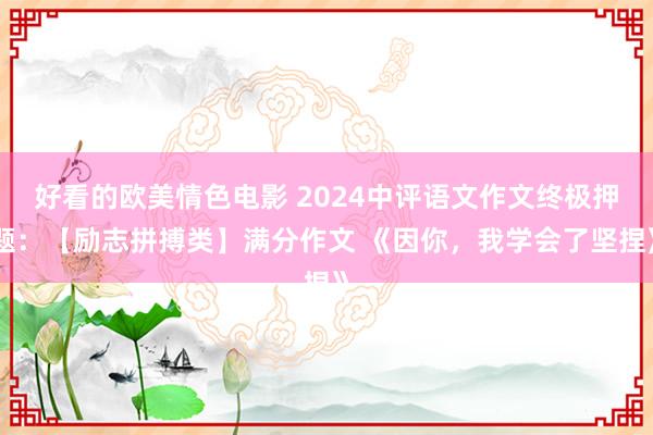 好看的欧美情色电影 2024中评语文作文终极押题：【励志拼搏类】满分作文 《因你，我学会了坚捏》