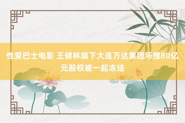 性爱巴士电影 王健林旗下大连万达集团所捏80亿元股权被一起冻结